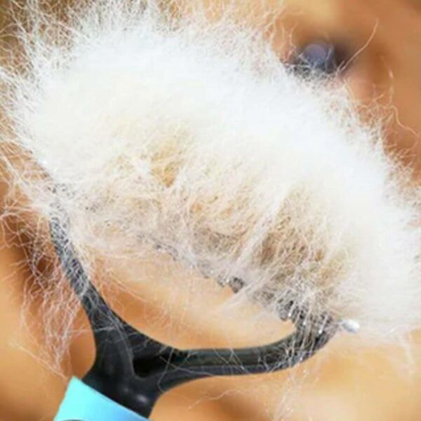 escova profissional para remoção de pelos