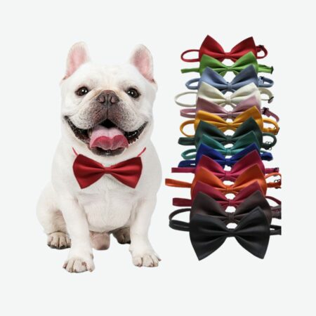 gravata pet elegance