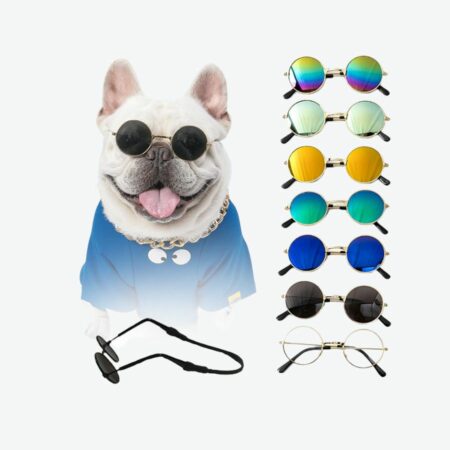 Óculos retrô para cães seu pet muito mais estiloso