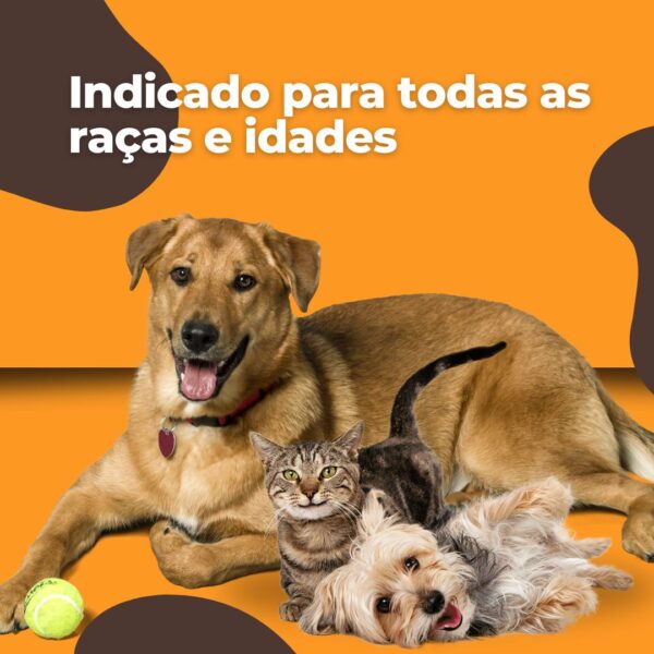 kit educador premium para cães e gatos pipi sim pipi não