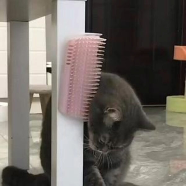 coçador de parede para gatos com catnip