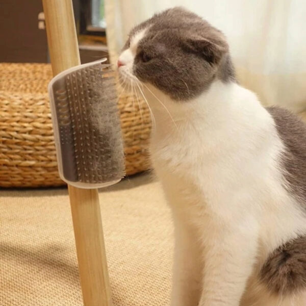 coçador de parede para gatos com catnip
